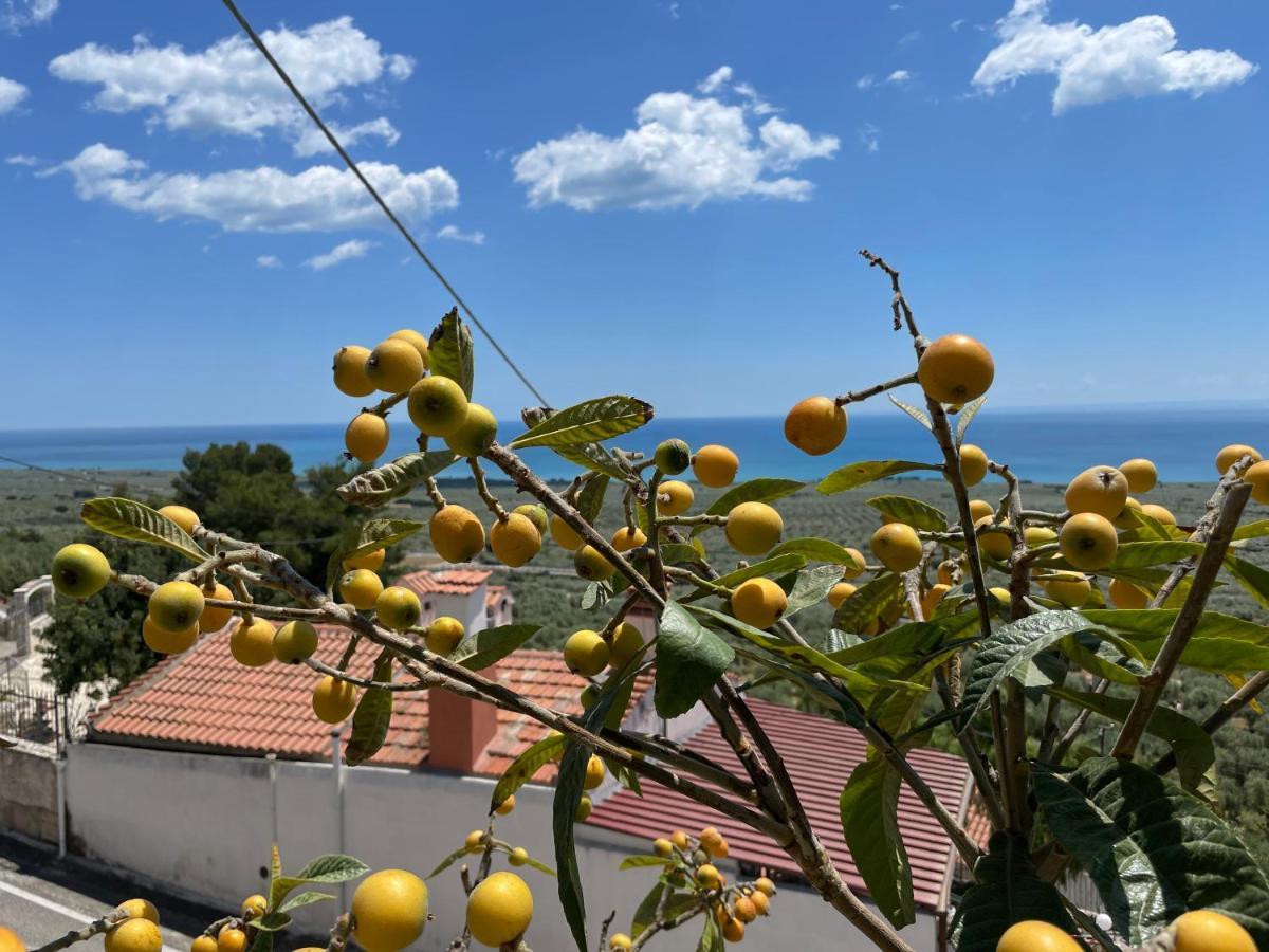 Villetta - Qui Dove Il Mare Luccica - Affitti Brevi Italia Monte SantʼAngelo Zewnętrze zdjęcie