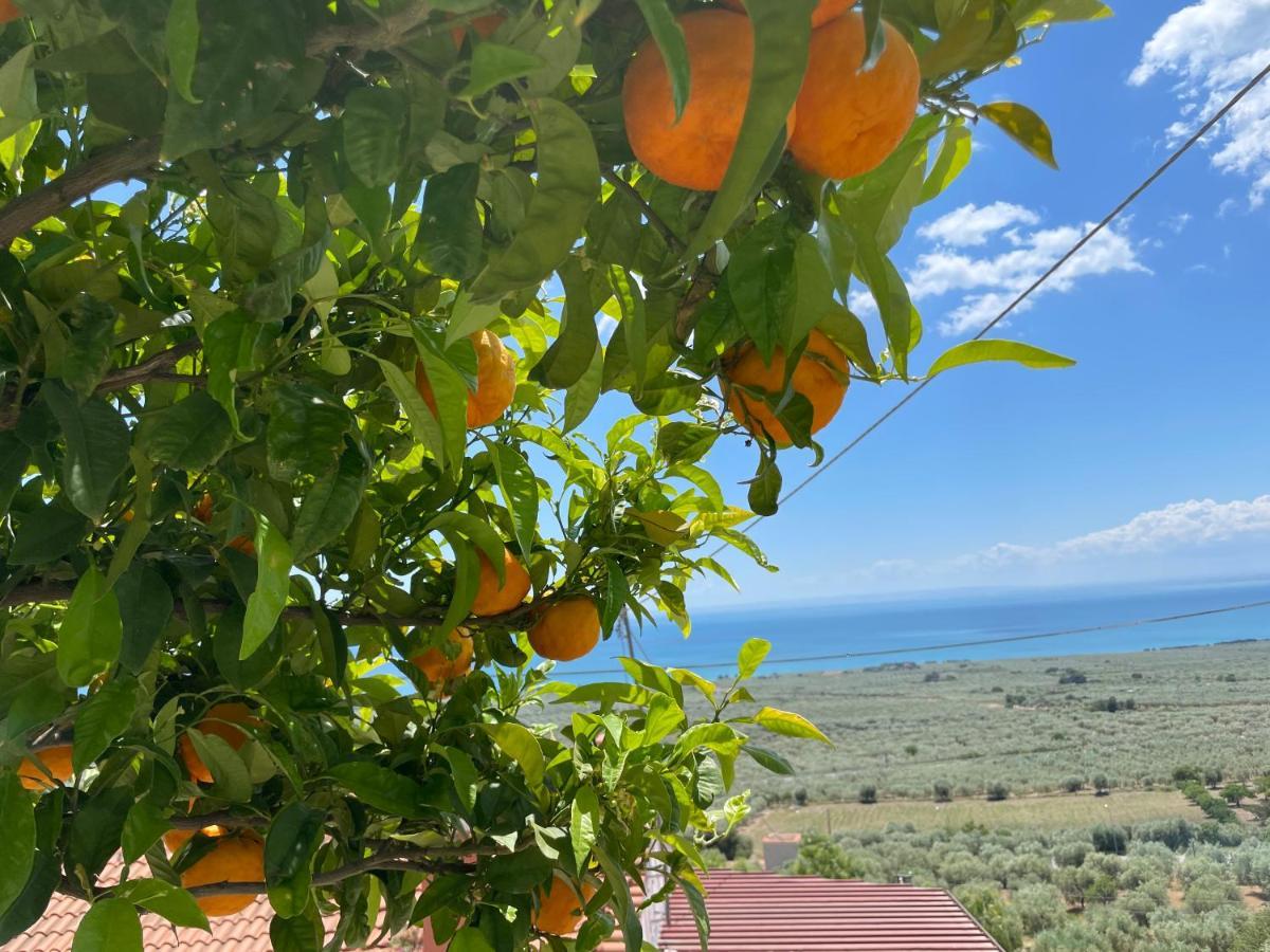 Villetta - Qui Dove Il Mare Luccica - Affitti Brevi Italia Monte SantʼAngelo Zewnętrze zdjęcie