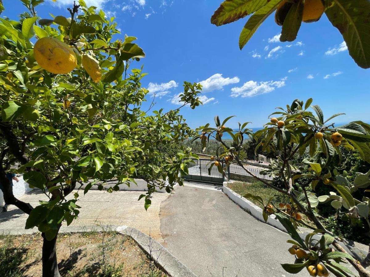 Villetta - Qui Dove Il Mare Luccica - Affitti Brevi Italia Monte SantʼAngelo Zewnętrze zdjęcie
