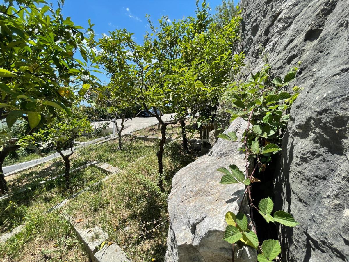 Villetta - Qui Dove Il Mare Luccica - Affitti Brevi Italia Monte SantʼAngelo Zewnętrze zdjęcie